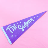 Stardust Pennant Flag