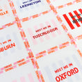 Load image into Gallery viewer, Meet Me In College Town Needlepoint Canvas
