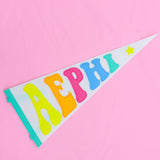 Rainbow Pennant Flag