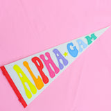Rainbow Pennant Flag