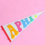 Rainbow Pennant Flag