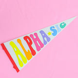 Rainbow Pennant Flag