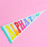 Rainbow Pennant Flag