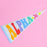 Rainbow Pennant Flag