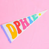 Rainbow Pennant Flag