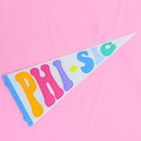 Rainbow Pennant Flag