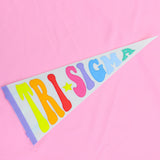 Rainbow Pennant Flag