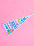 Load image into Gallery viewer, Party Pennant Flag (Pack of 4)
