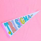 Party Pennant Flag